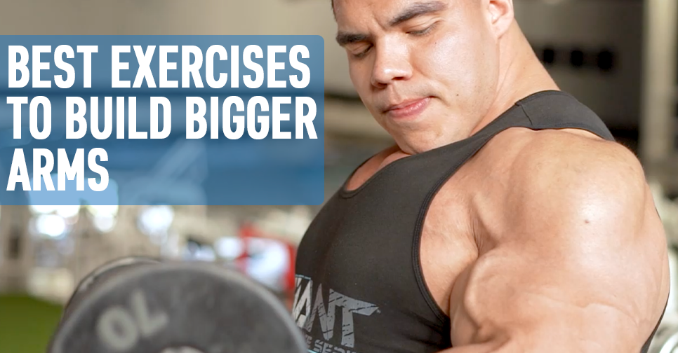 The Best Exercises for Bigger Arms