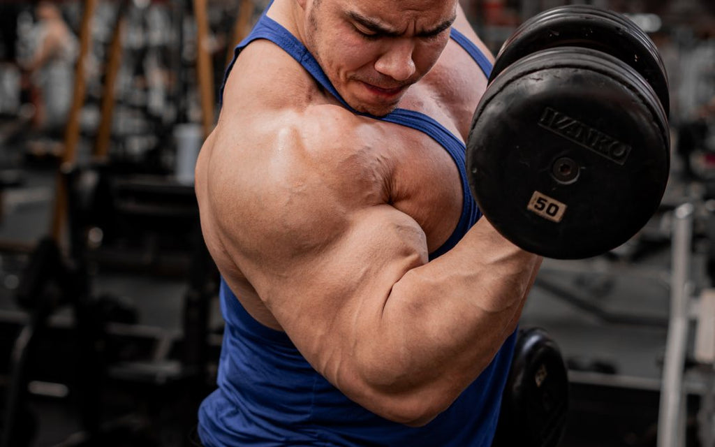 Top Bicep Exercises for Building Muscle Mass